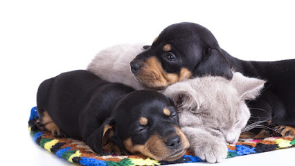 Busch Animal Hospital