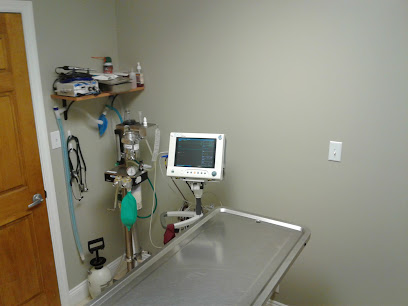 Davis Island Animal Clinic