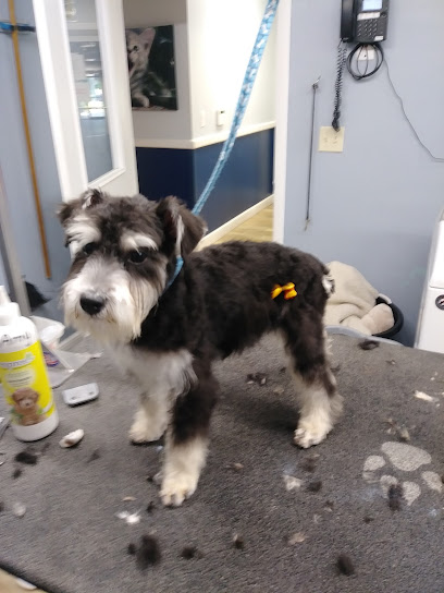 Tails-A-Waggin Animal Hospital & Pet Resort