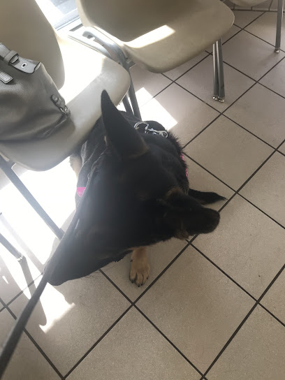 Viscaya Prado Veterinary Hospital