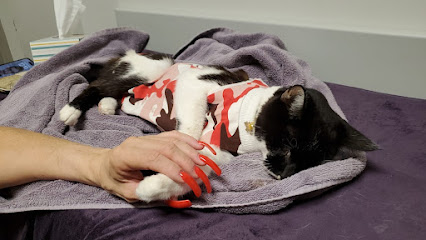 Viscaya Prado Veterinary Hospital