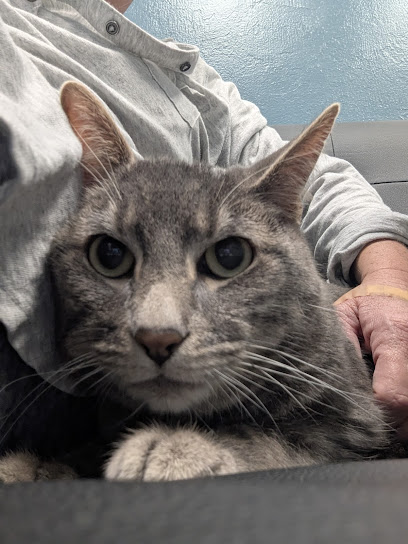 Morgan Veterinary Practice