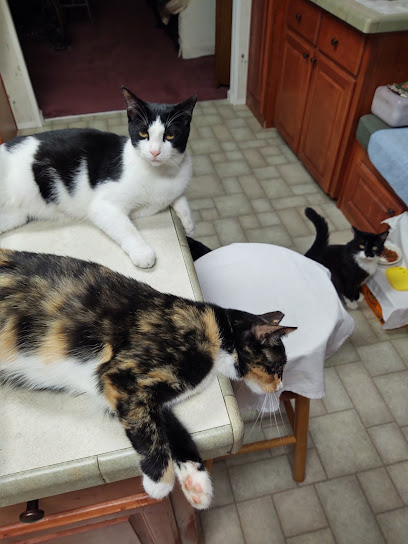 Our Hope Center Animal Clinic Our Hope Center Animal Clinic