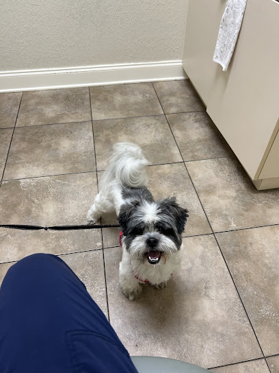 North Shore Animal Hospital North Shore Animal Hospital