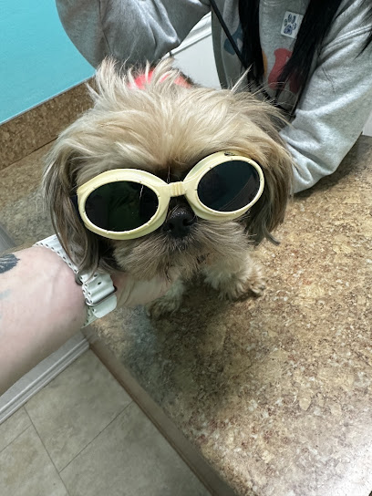 Airport Veterinary Clinic