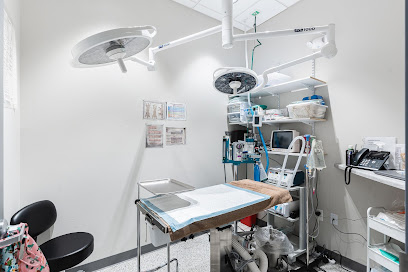 Sandy Paws Veterinary Hospital