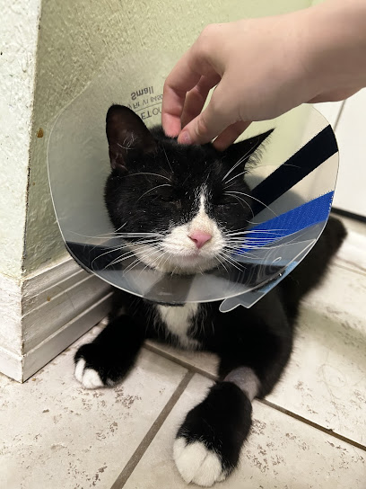 First Coast Veterinary Specialists & Emergency