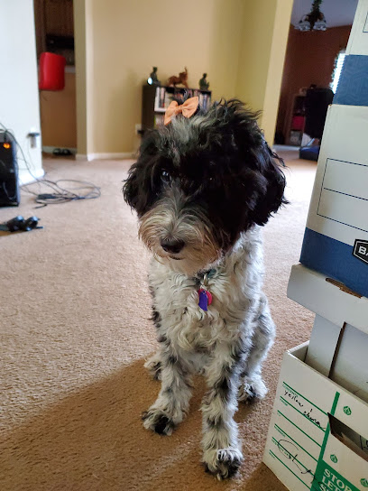 Harbour Place Animal Clinic