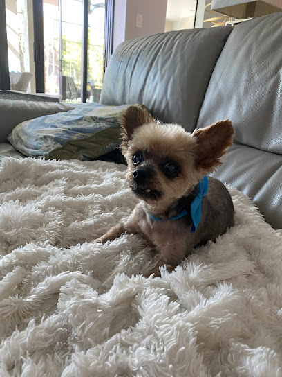 White Sands Animal Clinic