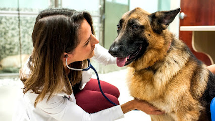 Fetch Specialty & Emergency Veterinary Centers – Bonita Springs, FL