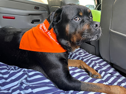 UF Small Animal Hospital