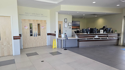 University of Florida College of Veterinary Medicine