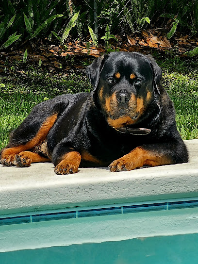 J & K Canine Academy Inc.