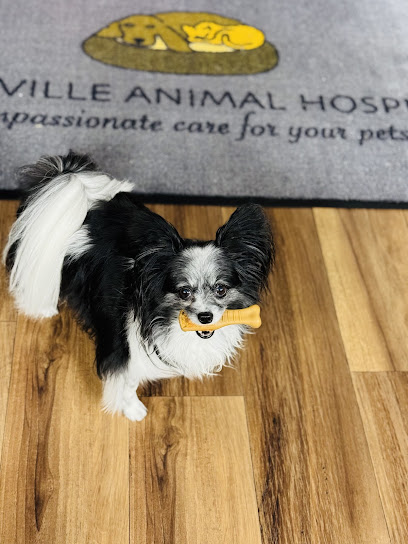 Jonesville Animal Hospital