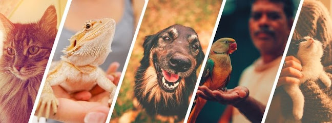 Verandah Pet Hospital