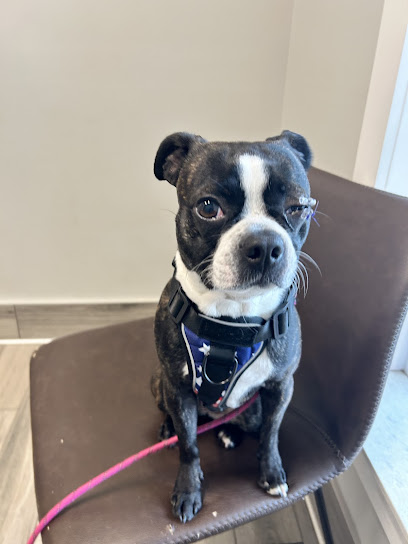 Robinson 24-Hour Veterinary Hospital Robinson 24-Hour Veterinary Hospital