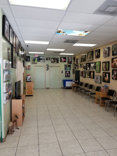 Bayshore Animal Hospital Bayshore Animal Hospital