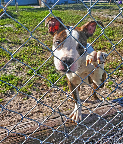 Gulf Coast Humane Society
