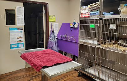 Fort Myers Veterinary Hospital