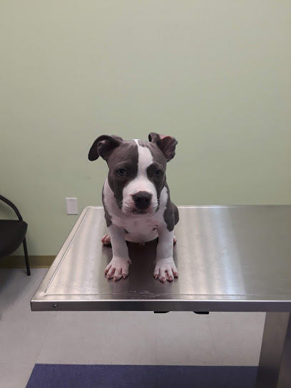 West Gate Animal Clinic