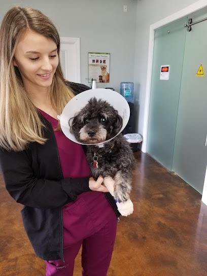 Amelia Pointe Veterinary Services Amelia Pointe Veterinary Services