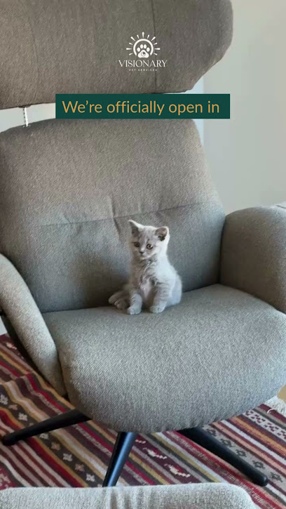 Visionary Vet Services