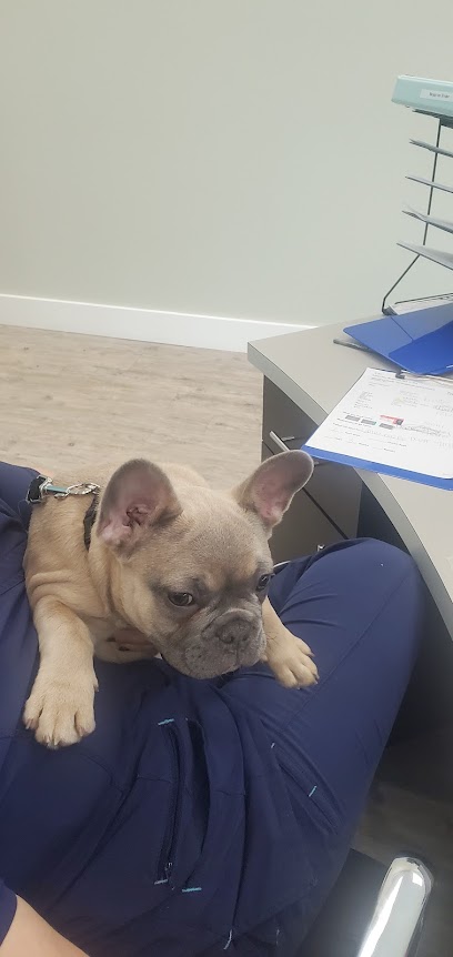 Treeline Animal Hospital