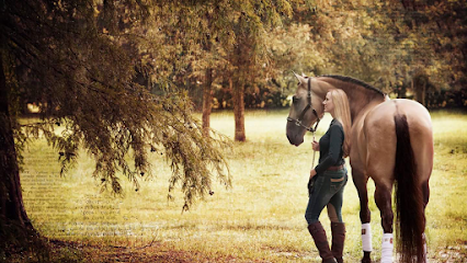 Sunny Coast Equine Veterinary