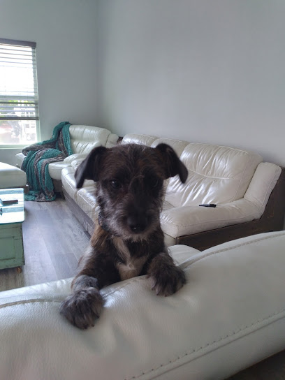 Cypress Lake Animal Hospital