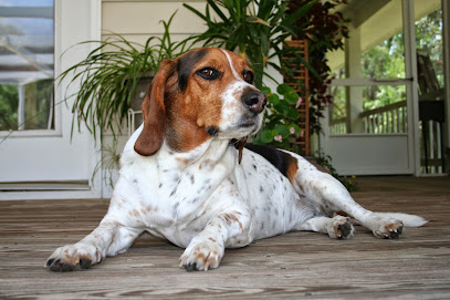Navarre Animal Hospital
