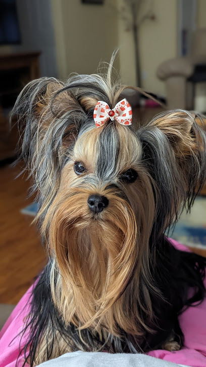 Warrington Veterinary Clinic