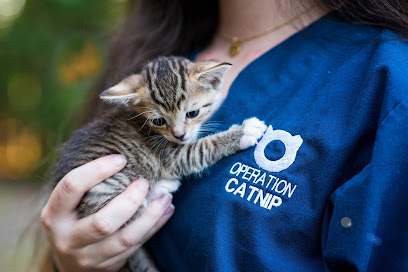 Operation Catnip of Gainesville Operation Catnip of Gainesville