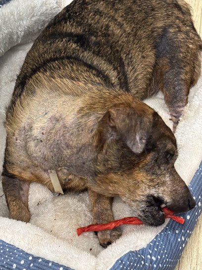 The Veterinary Emergency Referral Center