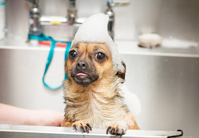 Prestige Pet Resort & Spa Prestige Pet Resort & Spa