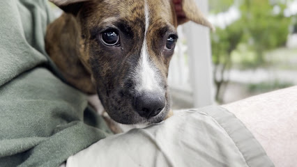 Humane Society of Marion County Animal Clinic