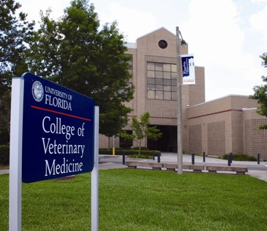 UF Veterinary Hospitals Veterinary Pharmacy UF Veterinary Hospitals Veterinary Pharmacy