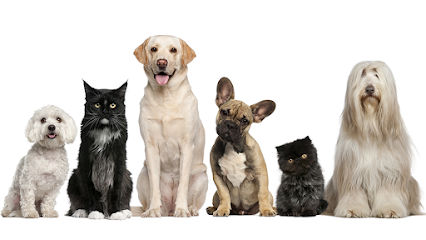 Southside Animal Clinic