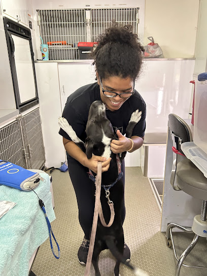 St Francis Vet Care St Francis Vet Care
