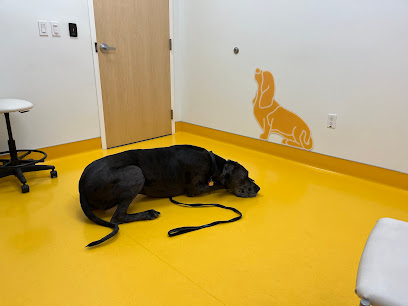 University of Florida Veterinary Hospital