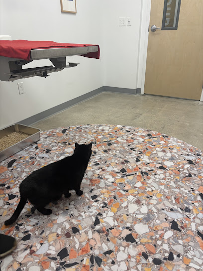 All Cats HealthCare Clinic