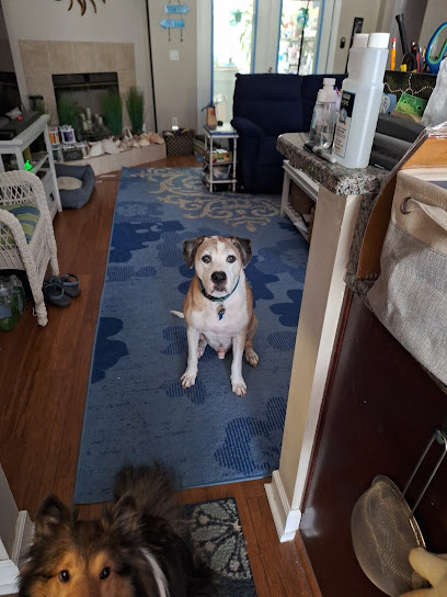 Monument Road Animal Hospital