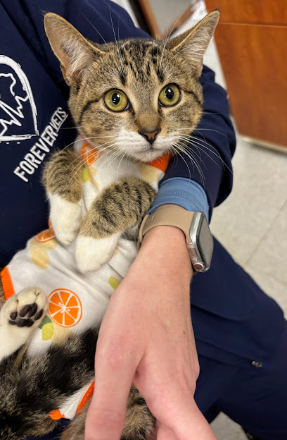 Forever Vets Animal Hospital at Baymeadows