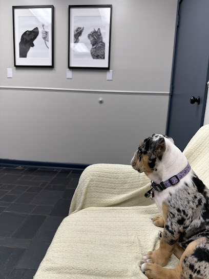 Arlington Animal Clinic