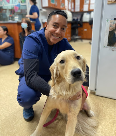 Forever Vets Animal Hospital at Tinseltown