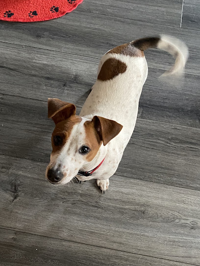 Cedar Hills Animal Hospital Cedar Hills Animal Hospital