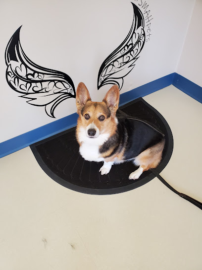Scott Mill Animal Hospital