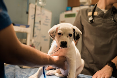 Patty Baker Humane Society Naples: Yawney Family Veterinary Clinic Patty Baker Humane Society Naples: Yawney Family Veterinary Clinic