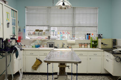 Northside Animal Hospital