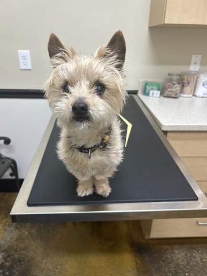 Brown Veterinary Clinic Brown Veterinary Clinic