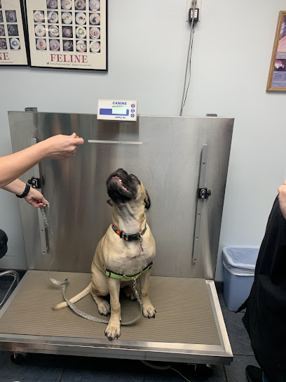 Brentwood Animal Clinic Brentwood Animal Clinic